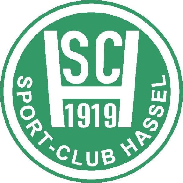 SC Buer-Hassel